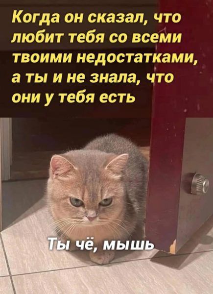 Когда он сказал что любит тебя со всеми твоими недостатками а ты и не знала что они у тебя есть