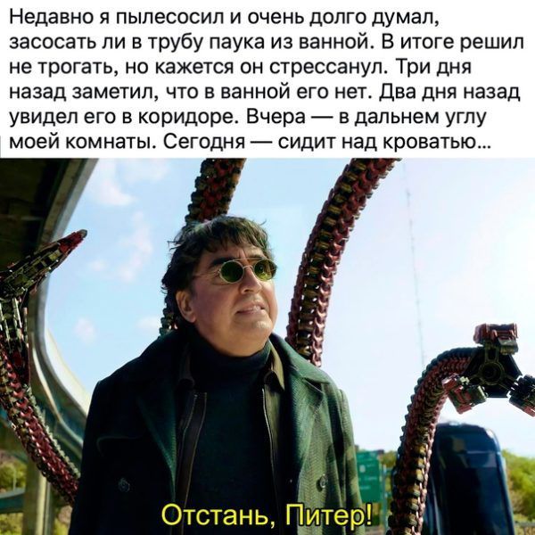 Недавно пыпесосил и очень долго думал засосать ли в трубу паука из ванной В итоге решил не трогать но кажется он прессанул Три дня назад заметл что в ванной его нет Два дня назад увидел его в коридоре Вчера 7 в дальнем углу моей комнаты Сегодня сидит над кроватью