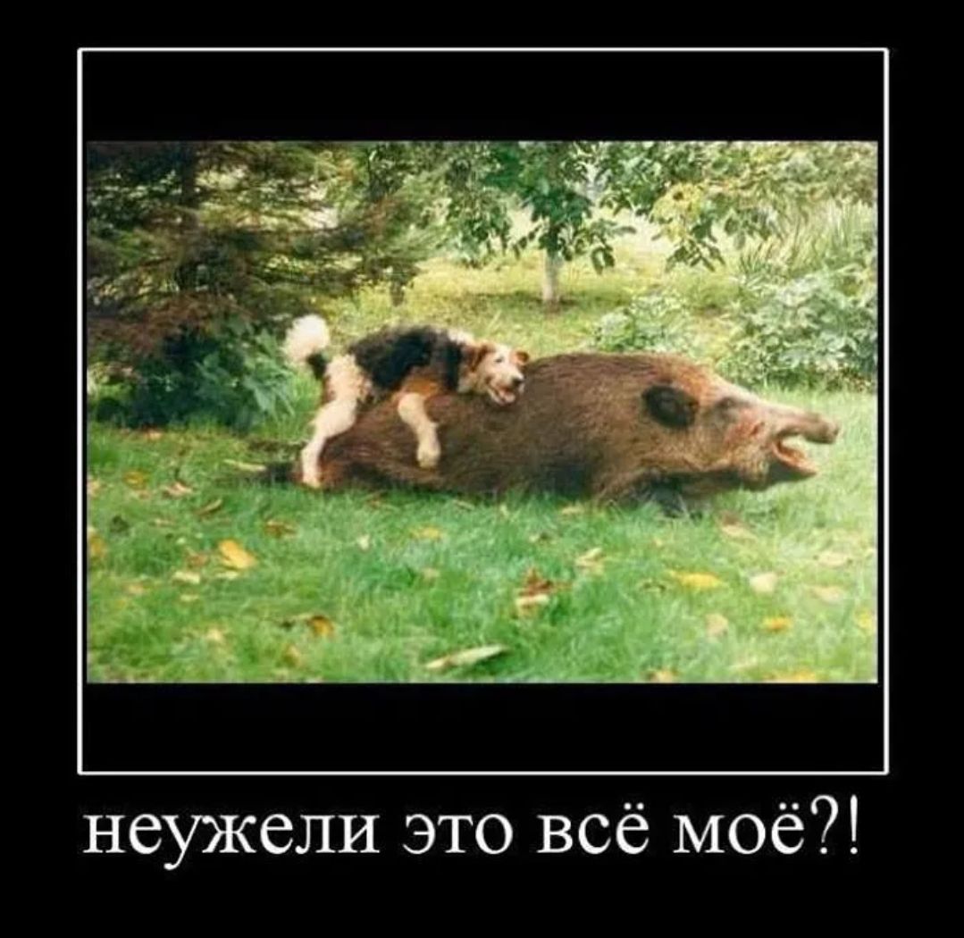 неужели это всё моё?!