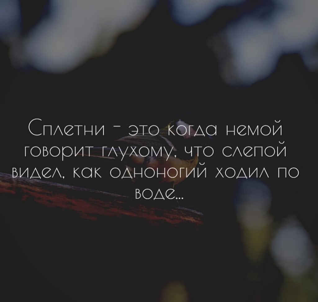 СПхетни ЩО кёдо немой говоритщхудру что САепой ЪИАЗА кок однонй ХОАИА по ь з БОА2