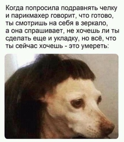 Когда попросила подравнять челку и парикмахер говорит что готово ты смотришь на себя в зеркало а она спрашивает не хочешь пи ты сделать еще и укладку но все что ты сейчас хочешь это умереть