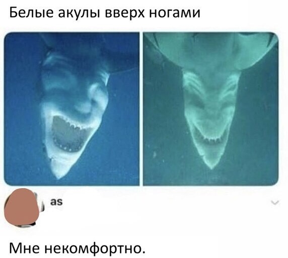 Белые ЭКУЛЫ ВВЕРХ ногами Мне некомфор но