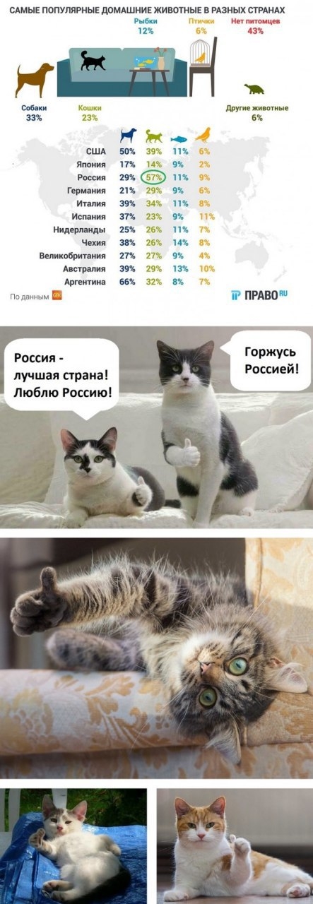 стык популярный дпмдшниг животные в изных стимх на к дауни мне 23 5 Ж _ сша их тв и тв п Рщип 19 их Героини и Индии за и т и Нидешиды из пи Чехи Шишбрипиии ш щ и мир ми их Аришки мч Падпп ым _ ПРАВП Горжусь Россиейі ___ России лучшая страиаі Люблю Россиюі