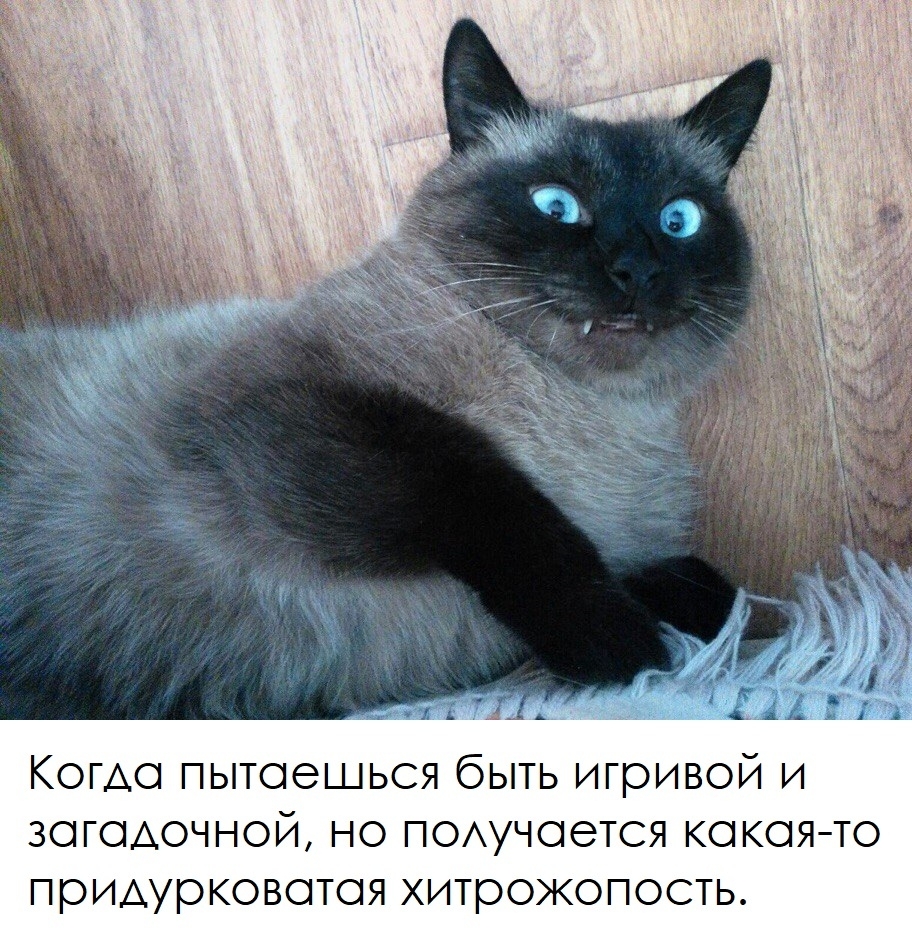 Когда пытаешься быть игривой и загадочной но поучается какаято придурковатая хитрожопость
