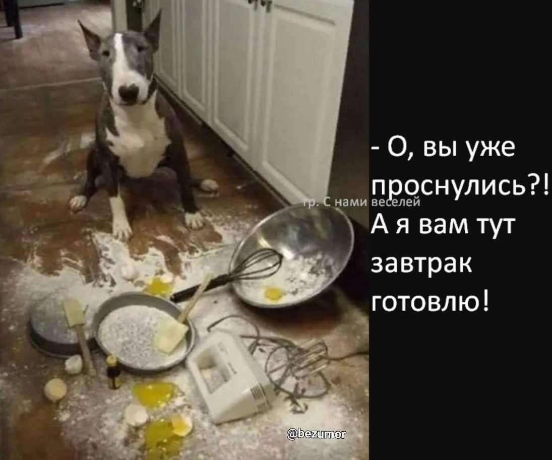 0 вы уже ЦЫЁСНУЛИСЬ А я вам тут завтрак _ готовлю