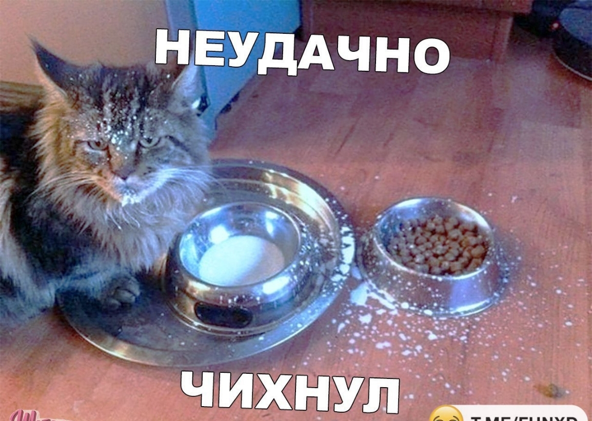 НП_