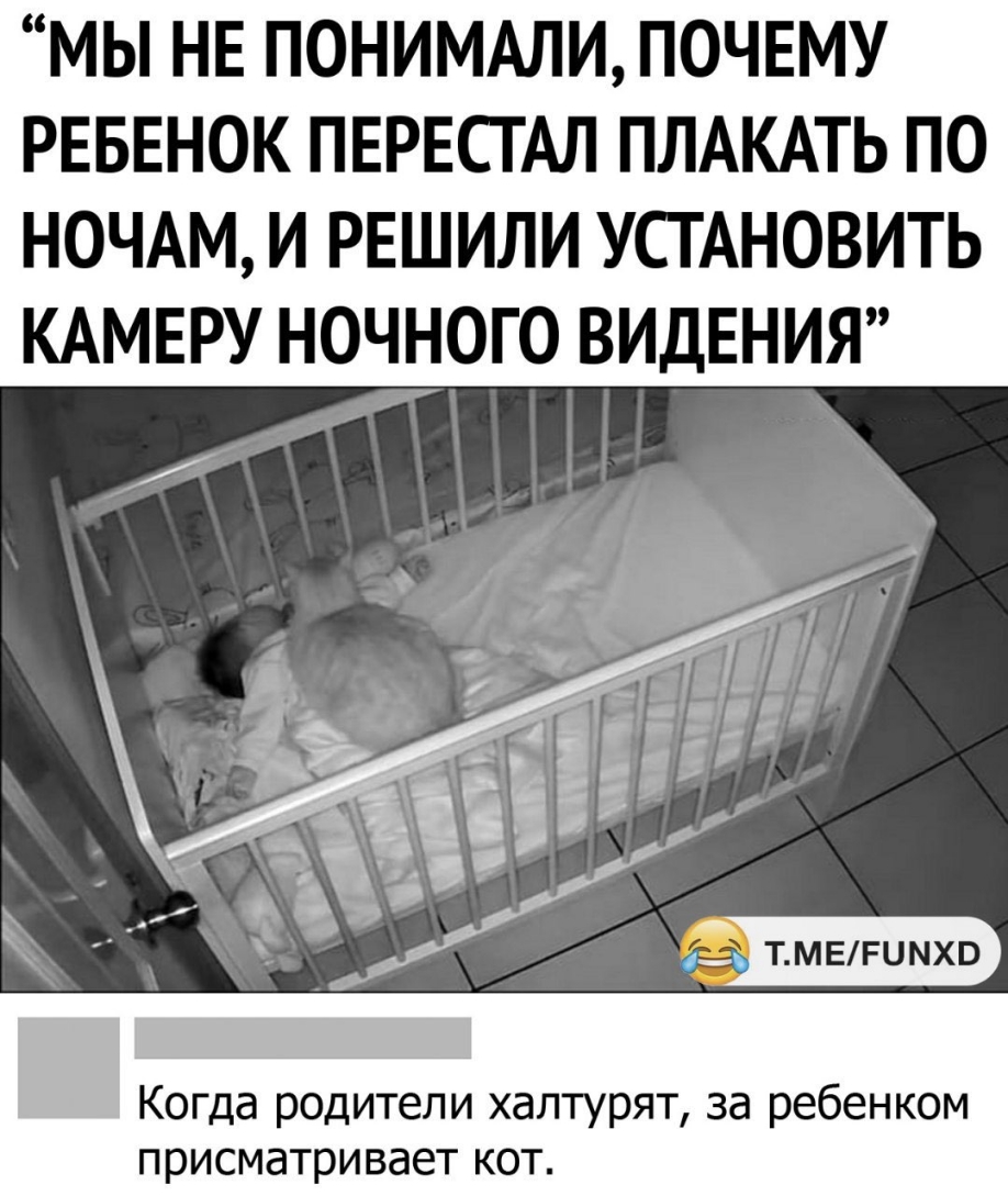 МЫ НЕ ПОНИМАЛИ ПОЧЕМУ РЕБЕНОК ПЕРЕСТАЛ ПЛАКАТЬ ПО НОЧАМ И РЕШИЛИ УСТАНОВИТЬ КАМЕРУ НОЧНОГО ВИДЕНИЯ Л 1 Когда родители халтурят за ребенком присматривает кот