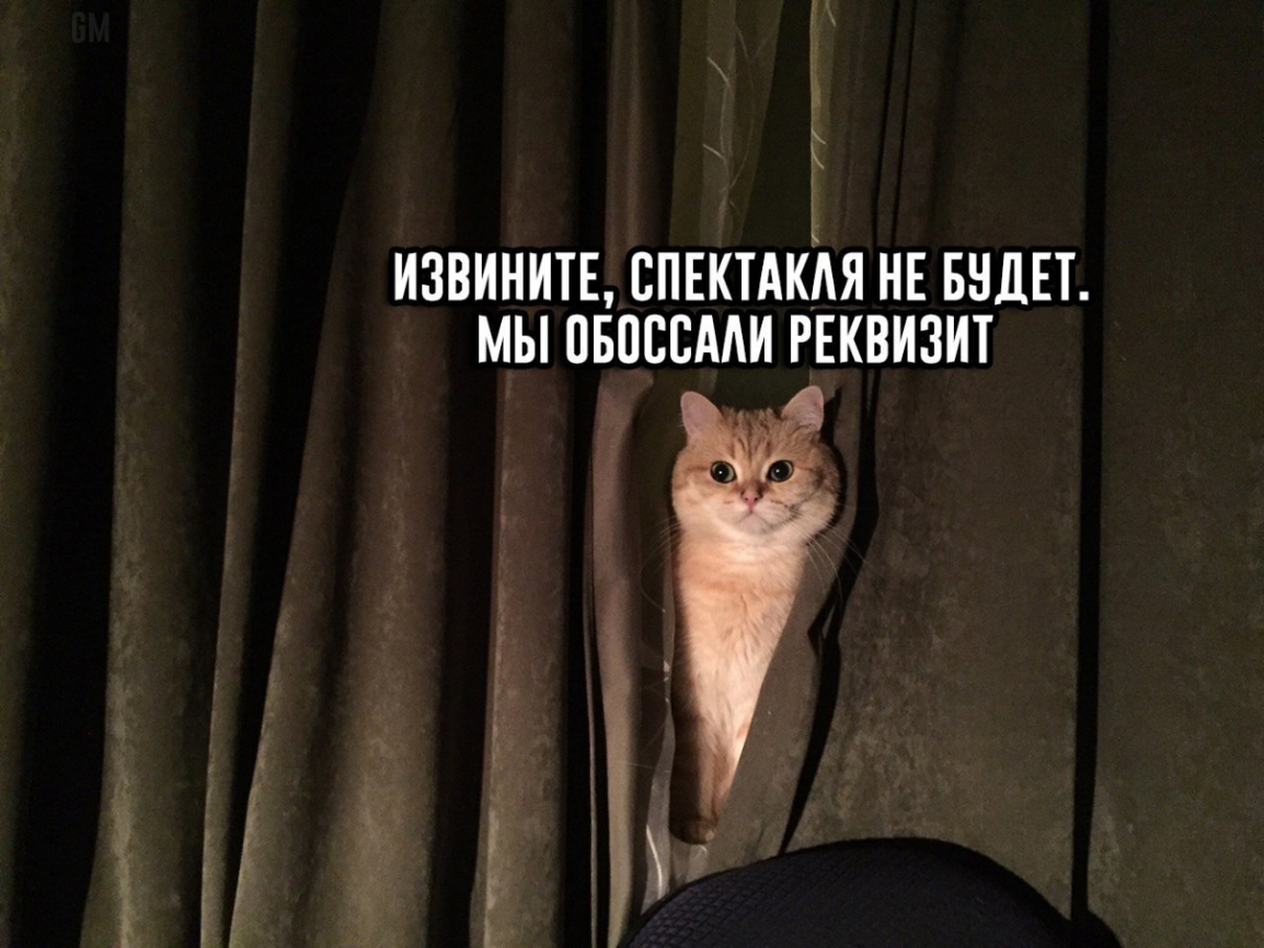 извинитн спвктдкдя НЕ видн мы овпсвми гЕквизит Рі гчг ___