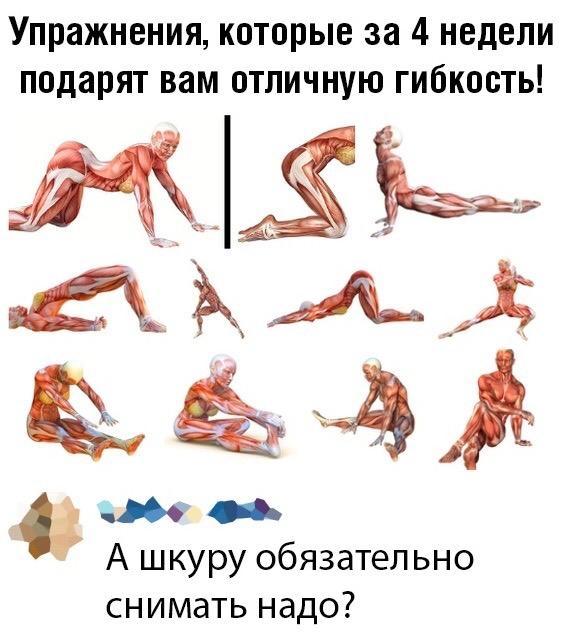 Упражнения которые за 4 недели подарят вам отличную гибкость А шкуру обязательно снимать надо