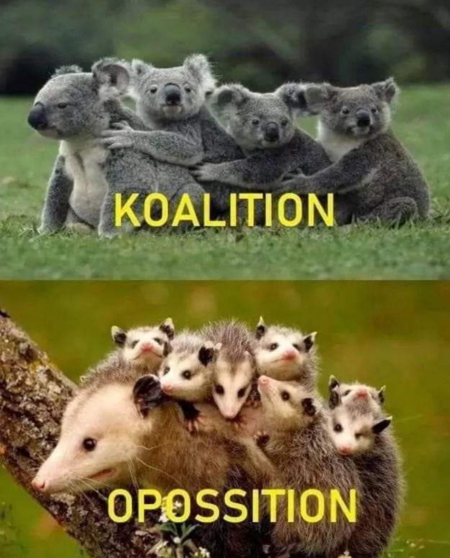ороззтоіч Ёп