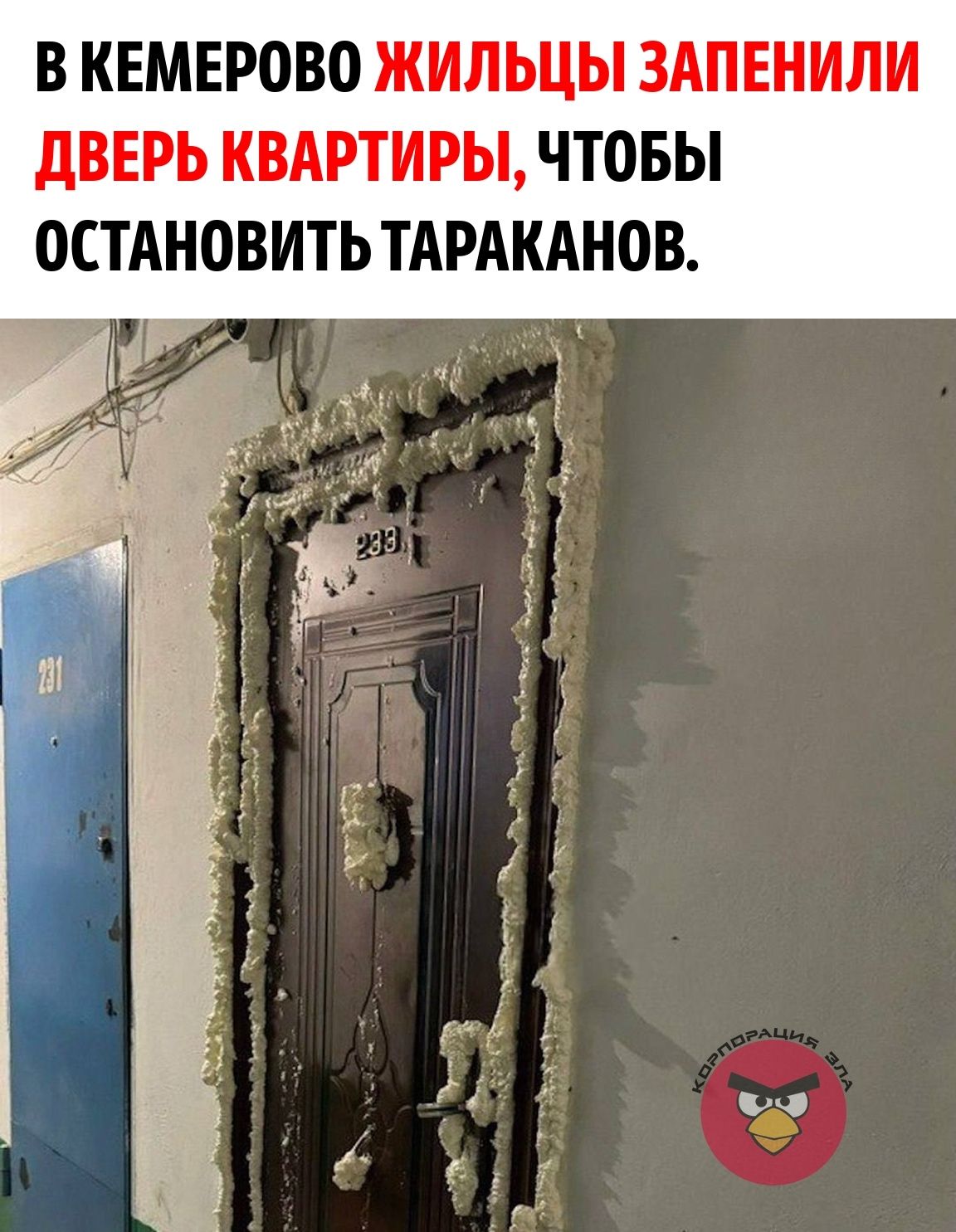 В КЕМЕРОВО ЖИЛЬЦЫ ЗАПЕНИЛИ ДВЕРЬ КВАРТИРЫ, ЧТОБЫ ОСТАНОВИТЬ ТАРАКАНОВ.