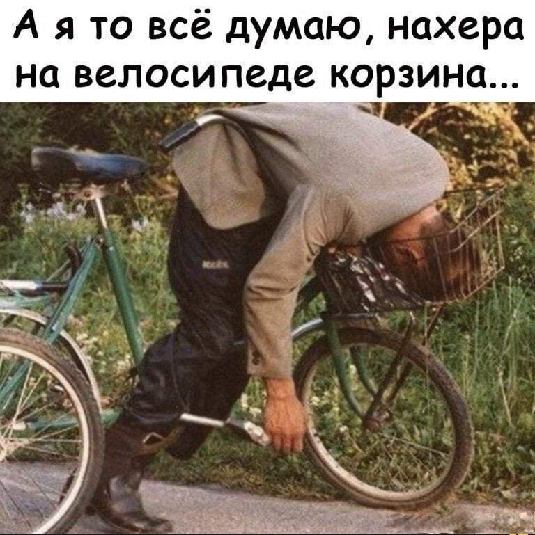 А я то всё думаю нахера на велосипеде корзина _ _ _