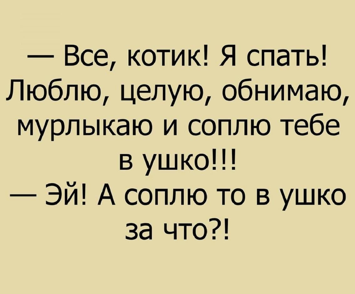 Все котик Я спать Люблю целую обнимаю мурлыкаю и соплю тебе в ушко Эй А соплю то в ушко за что