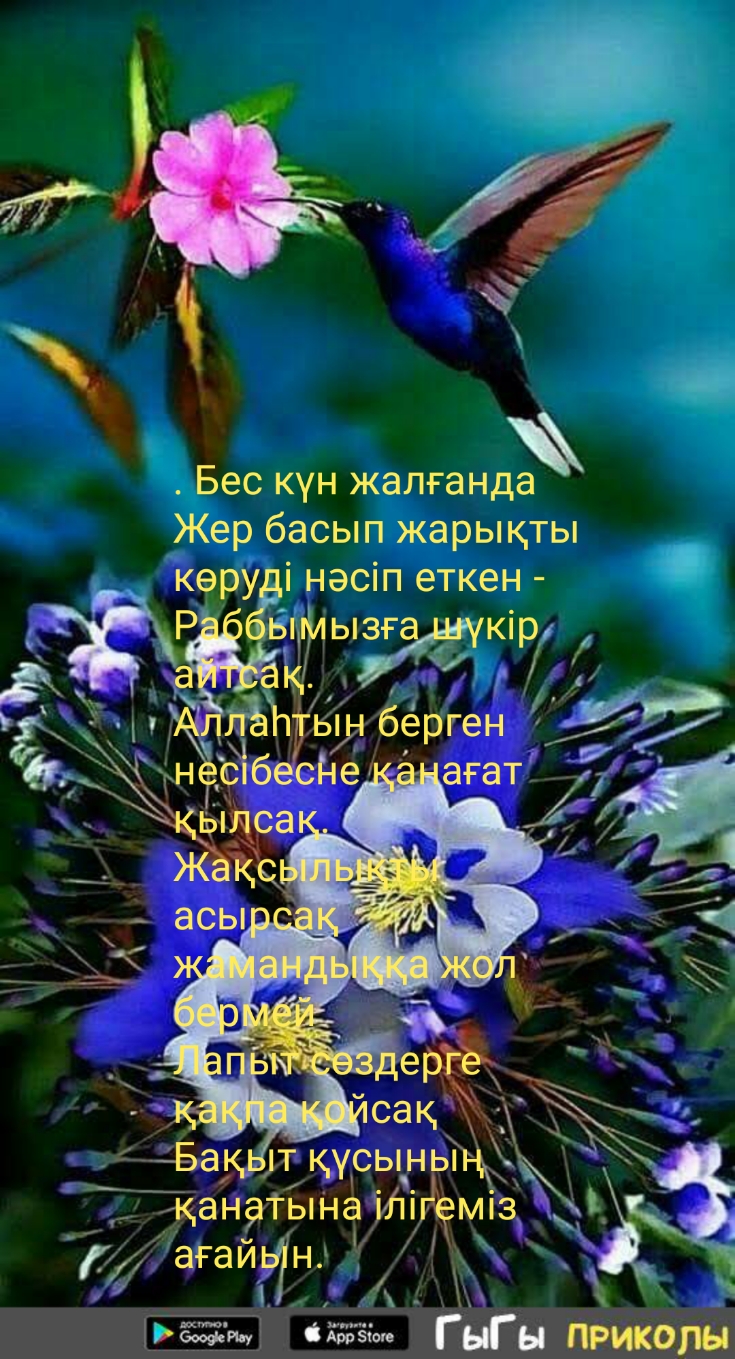 Бес кун жалганда Жер басып жарыкты керу і насіп еткен Біліі ызг і_ ЛЪЪК ыьі бёрген н Ёіб сі іе Ба т к_усы ьяанагыі іа Иіёмід Ь ЭРЭЙЧН я ища у и ГнГы приколи