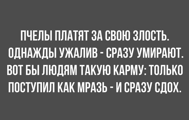 ПЧЕЛЫ ПЛАТЯТ ЗА ОВОЮ ЗЛООТЬ ОДНАЖДЫ УЖАЛИВ СРАЗУ УМИРАЮТ ВОТ БЫ ЛЮДЯМ ТАКУЮ КАРМУ ТОЛЬКО ПООТУПИЛ КАК МРАЗЬ И ОРАЗУ ВДОХ