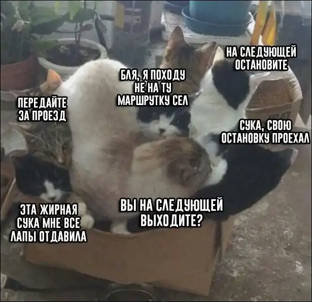 _ СПА жирндя ВЫ НА САЕДНЮЩЕЙ ВЕКА МНЕ ВСЕ ВЫХПДИТЕ МПЫ ПШАВИМ