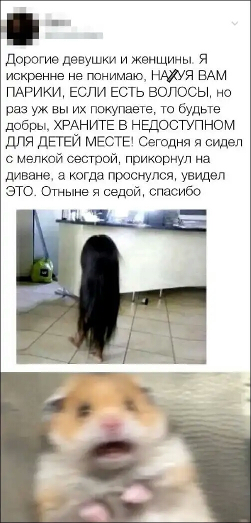Дорогие девушки и женщины Я искренне не понимаю НАХУЯ ВАМ ПАРИКИ ЕСЛИ ЕСТЬ ВОЛОСЫ но раз уж вы их покупаете то будьте добры ХРАНИТЕ В НЕДОСТУПНОМ ДЛЯ ДЕГЕЙ МЕСТЕ Сегодня я сидел с мелкой сестрой прикорнул на диване а когда проснулся увидел ЭТО Отныне я седой спасибо