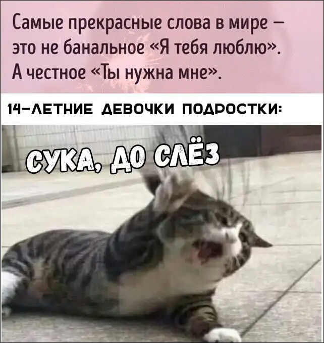 Самые прекрасные слова в мире это не банальное Я тебя люблю А честное Ты нужна мне 1Ч АЕТНИЕ ДЕВОЧКИ ПОДРОСТКИ