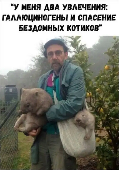 У МЕНЯ АВА УВАЕЧЕНИЯ Г ААМОЦИНОГ ЕНЫ И СПАСЕНИЕ БЕЗАОМНЫХ КОТИКОВ