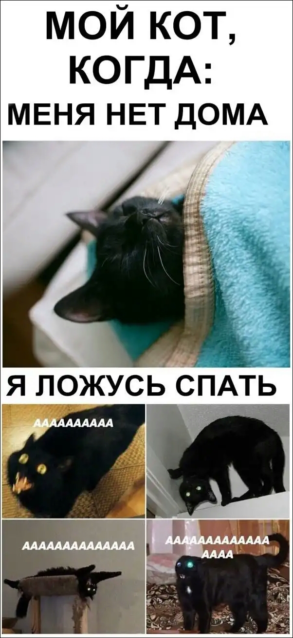 мойкоъ КОГДА МЕНЯ НЕТ ДОМА я пожусдіспмь