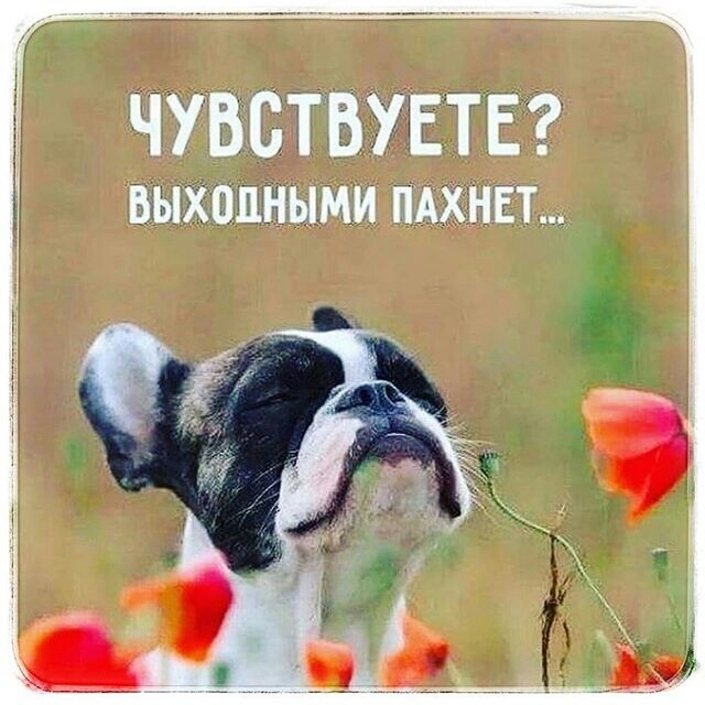 ЧУВСТВУЕТЕ ВЫХЦПВЬЩИ ПАХНЕТ
