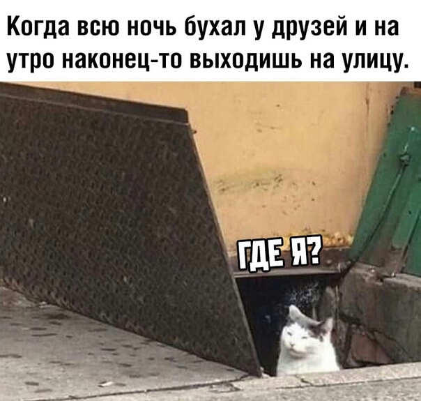 Когда всю ночь бухал у друзей и на утро наконец то выходишь на улицу