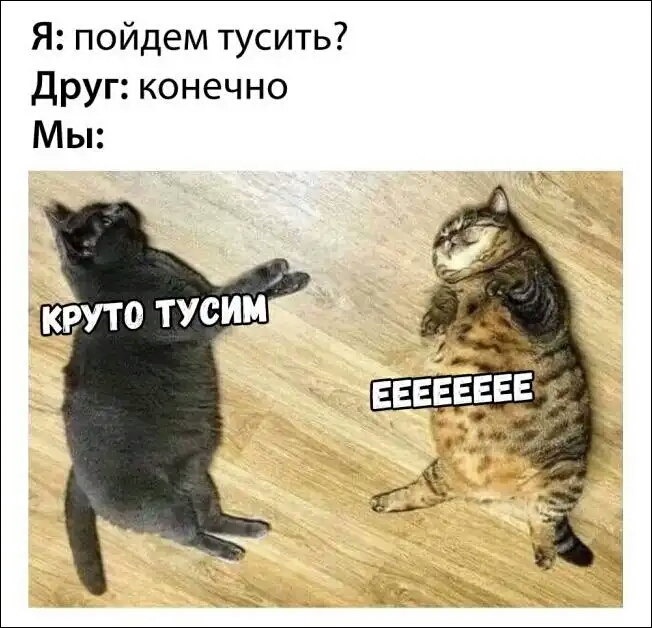 Я пойдем тусить Друг конечно Мы