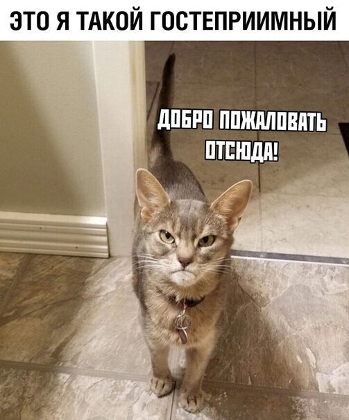 это я ТАКОЙ гостеприимный дПЕРП ППЖЛШПППТЬ ПТЕШдЛ