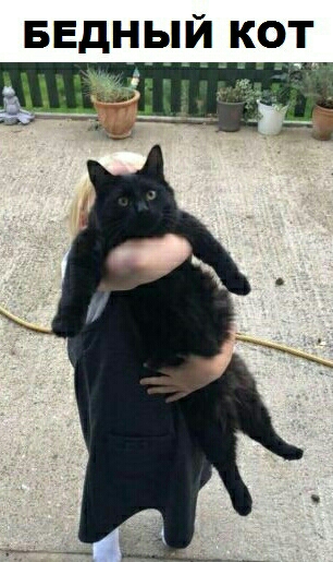 БЕдНЫ Й КОТ