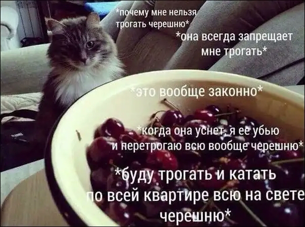 огда сна уВнеЁіч евубью и Перетрогаю всю вообщечерешню чуду трргатьи катать о всей кёартре всю на свете черёшнюі
