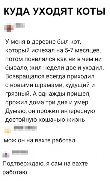 КУДА уходят коты У меня в деревне был кот который исчезал на 57 месяцев потом появлялся как ни в чем ни бывало жип недели две и уходил Возвращапся всегда приходил с новыми шрамами худущий и грязный А однажды пришел прожил дома три дня и умер думаю он прожил интересную достойную кошачью жизнь мож он на вахте работал п Подтверждаю Я сам На вахте работаю