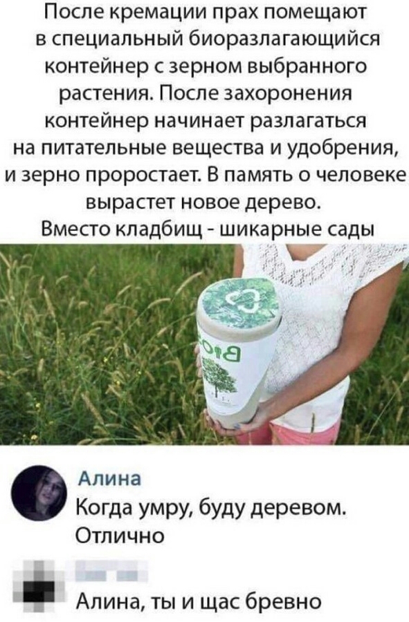 После кремации прах помещают в специальный биоразлагающийся контейнер с зерном выбранного растения После захоронения контейнер начинает разлагаться на питательные вещества и удобрения и зерно проростает В память о человеке вырастет новое дерево Вместо кладбищ шикарные сады Алина Когда умру буду деревом Отлично Апина ты и щас бревно