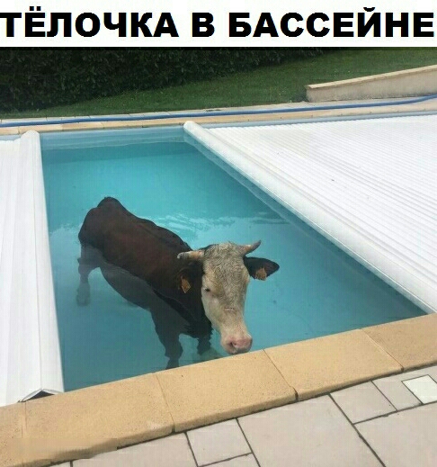 ТЁПОЧКА В БАССЕЙНЕ
