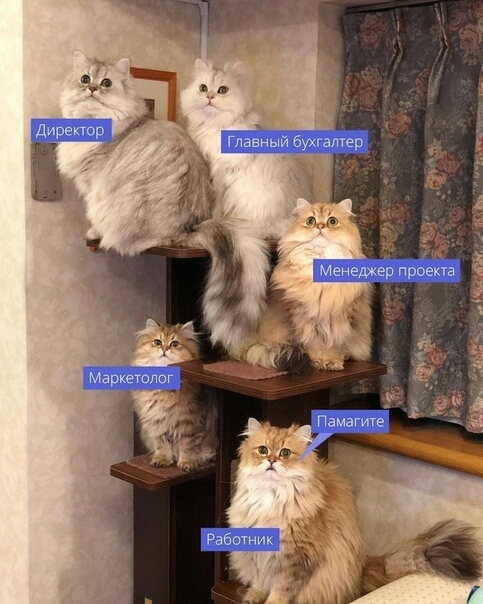и г в 99 а