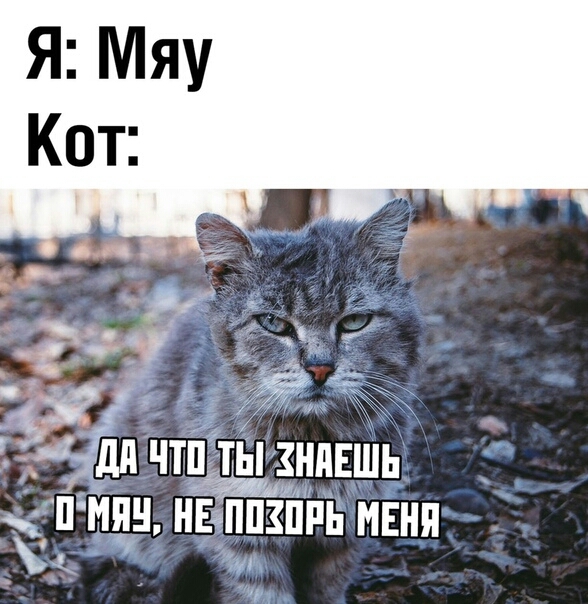 Ей дд ЧТПЁЁ ТЫ ЗНПЕШЬ пмяннвапп3ппьмвня