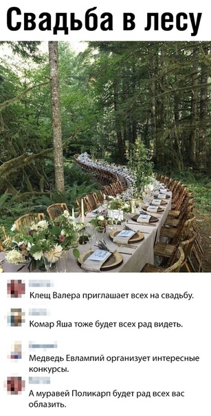 Свадьба в лесу іі д В я у Медведь Евлампий организует тер миурсы А мурзней Поликарп будет рад исе на