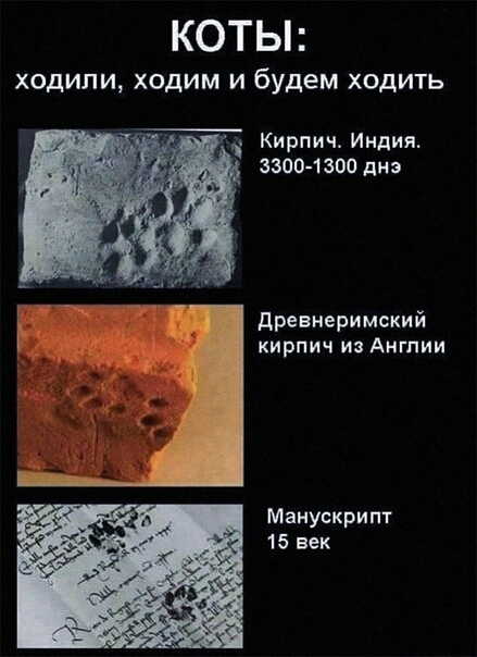 КОТЫ ХОДИЛИ ХОДИМ И будем ХОДИТЬ Кирпич Индия 3300 1300 диз древнеримский кирпич и Англии Манускрипт 15 век