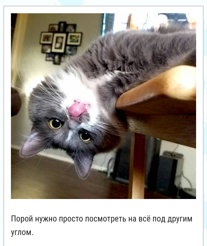 Порой нужно просто посмотреть на всё под другим углом