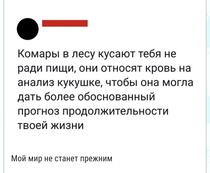 _ Комары в лесу кусают тебя не ради пищи они относят кровь на анализ кукушке чтобы она могла дать более обоснованный прогноз продолжительности твоей жизни Мой мир не станет прежним