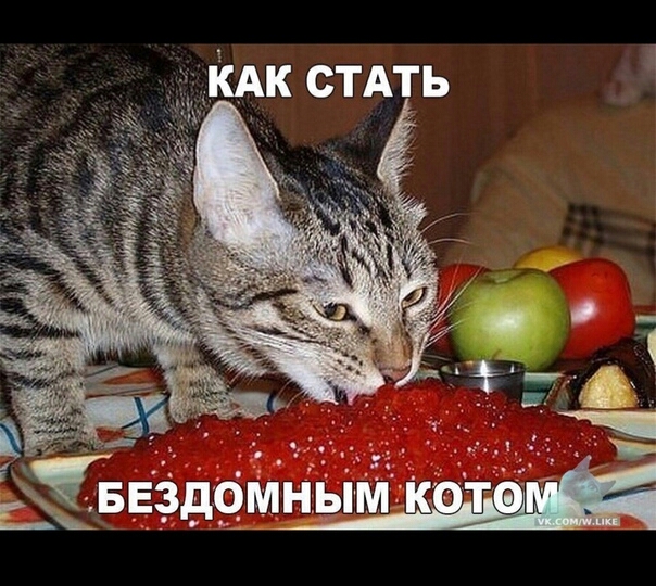 АКАк сТАть