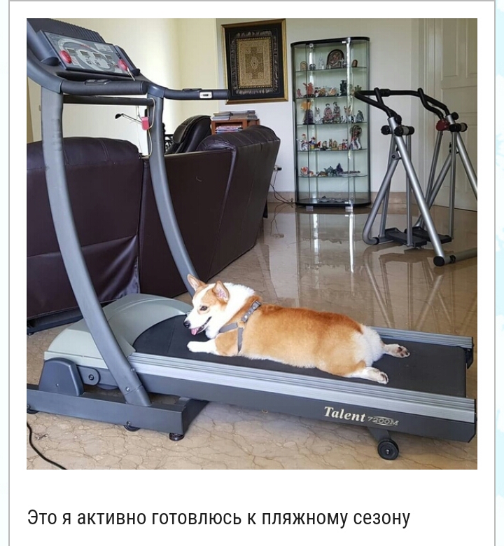 ЭТО Я активно ГОТОВЛЮСЬ К ППЯЖНОМУ СЕЗОНУ