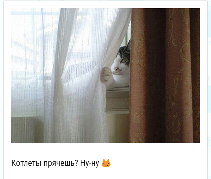 Котлеты прячешь Ну ну