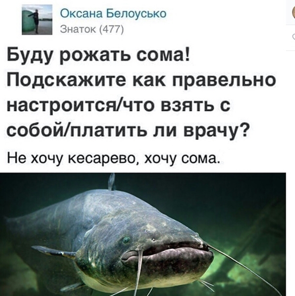 Оксана Бепоусько Знаток 477 Буду рожать сома Подскажите как правельно настроитсячто взять с собойплатить ли врачу Не хочу кесарево хочу сома