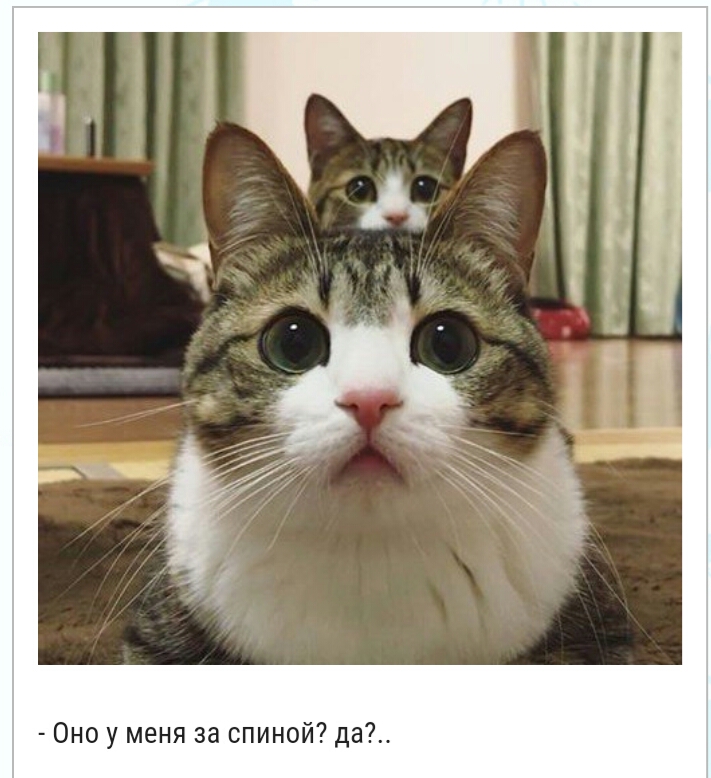 Оно у меня за спиной да