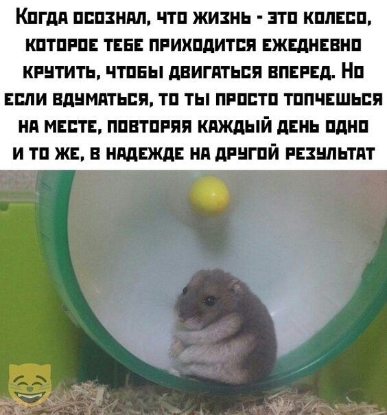 КПГдд ПППЗНПП ЧТП ЖИЗНЬ ЗТП КППЕПП КПТПРПЕ ТЕБЕ ПРИХПДИТПП ЕЖЕДНЕВНП КРНТИТЬ ЧТПБЫ дВИГПТЬПЯ ВПЕРЕД НП ЕШИ ВДНМПТЬЕЯ ТП ТЫ ПРПЕТП ТППЧЕШЬЕЯ НП МЕСТЕ ППВТПРПП КАЖДЫЙ дЕНЬ БАНИ И ТП В НМЕЖДЕ Нд дРНГПЙ РЕЗШЬТПТ