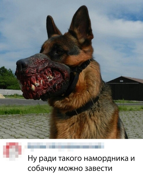 Ну ради такого намордника И собачку можно завести