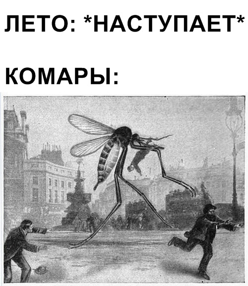 ЛЕТОНАСТУПАЕТ П __ __ Ё КОМАРЬ