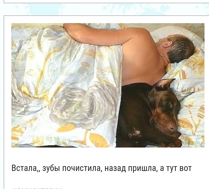 Встала зубы почистипа назад пришла а тут вот