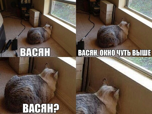 из дщёвШЁЁн впепнгпннслішь выше вдеинэ