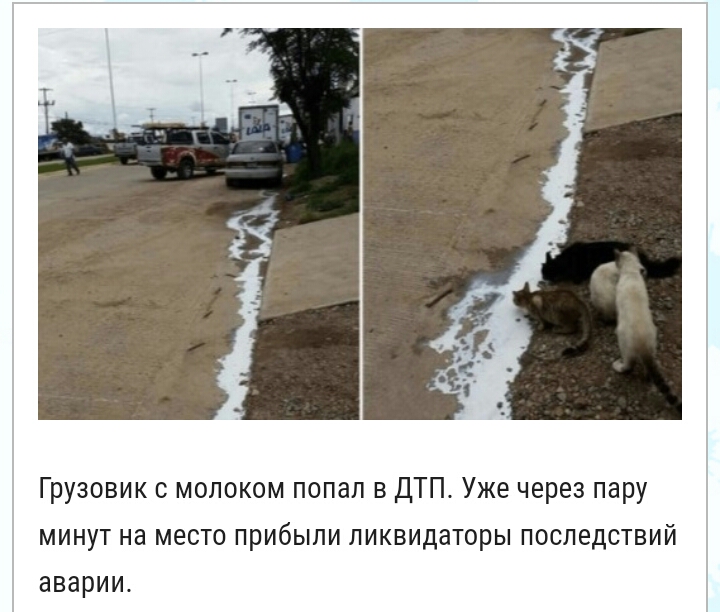 Грузовик молоком попал в ДТП Уже через пару МИНУТ на МЕСТО ПРИбЫЛИ ЛИКВИДаТОРЫ ПОСЛ8ДСТВИЙ аварии